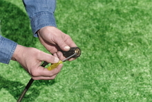 Replacing O-rings & Screens